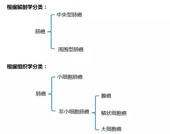 肺癌分類.jpg